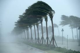 Hurricane Irma wind